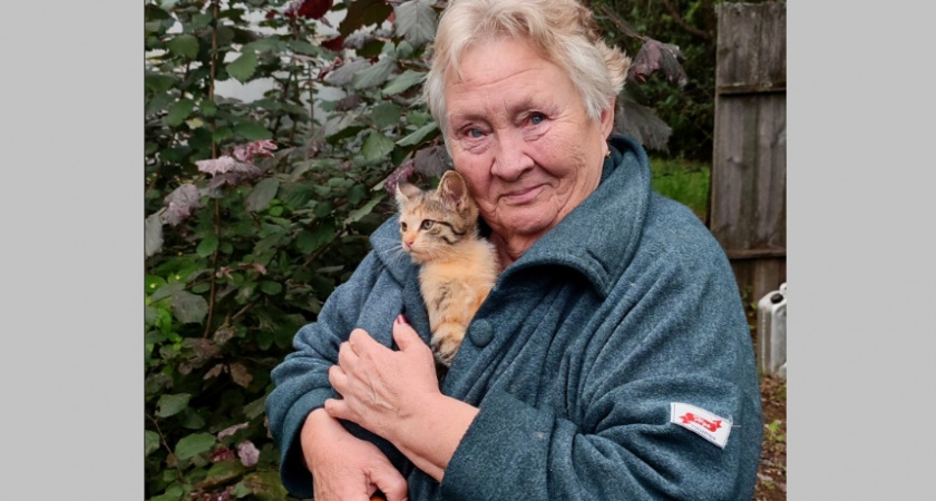 Рязанские спасатели вызволили из беды котенка
