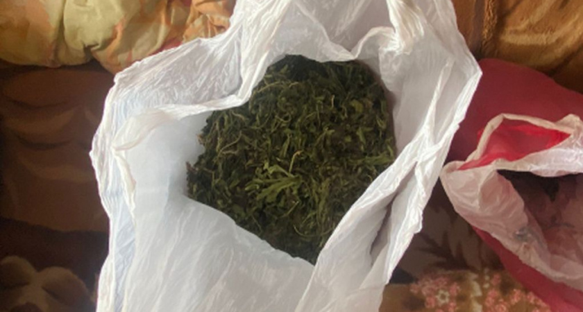 В рязанском общежитии у 40-летнего мигранта обнаружили пакет с марихуаной
