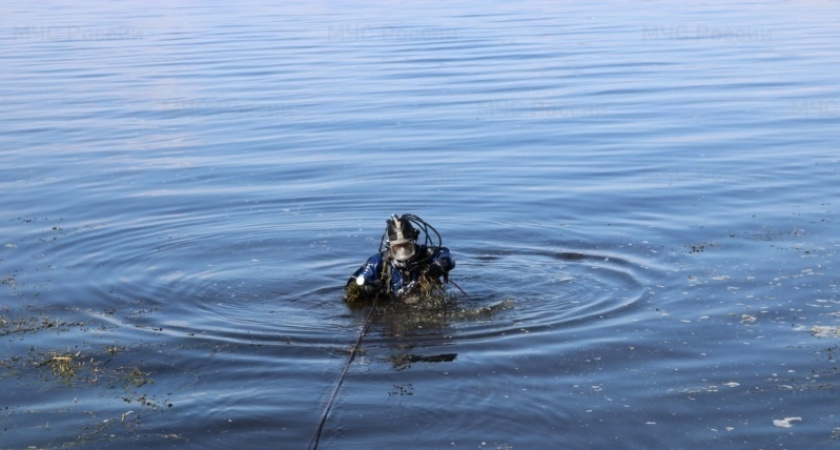 В реке Цна в Сасовском районе Рязанской области утонул мужчина