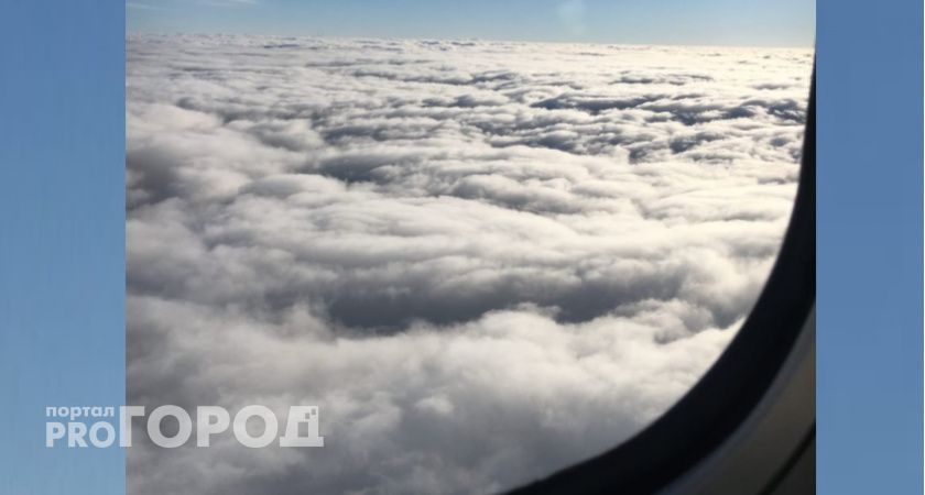 В России часть самолетов после закрытия аэропортов в Москве летали в небе над Рязанью