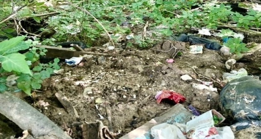 В Касимовском районе обнаружили несанкционированную свалку ТКО