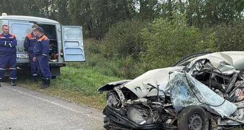 В ДТП под Рязанью скончались водитель и 7-летний пассажир Chevrolet Lanos