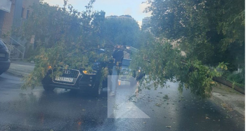 На улице Быстрецкой в Рязани на автомобиль рухнуло дерево