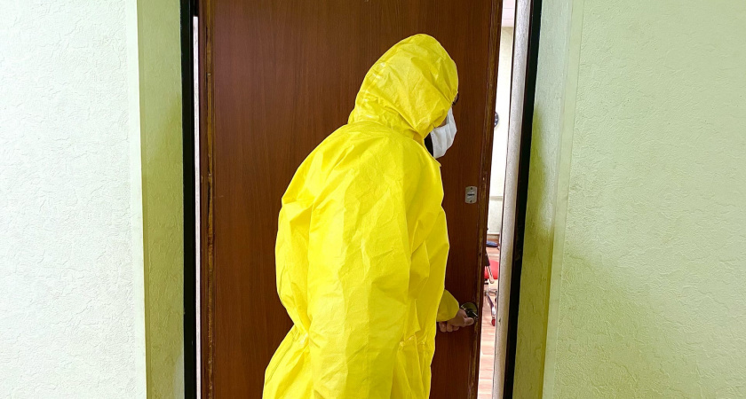 В Рязани ввели карантин из-за африканской чумы свиней