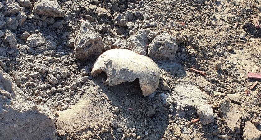 Рязанцы пожаловались на разрытые могилы на площади Свободы