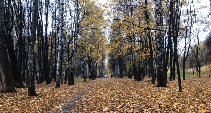24 сентября в Рязанской области ожидается ветер и до +27
