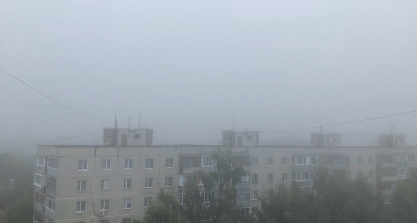 МЧС предупредило рязанцев о сильном тумане утром 29 сентября