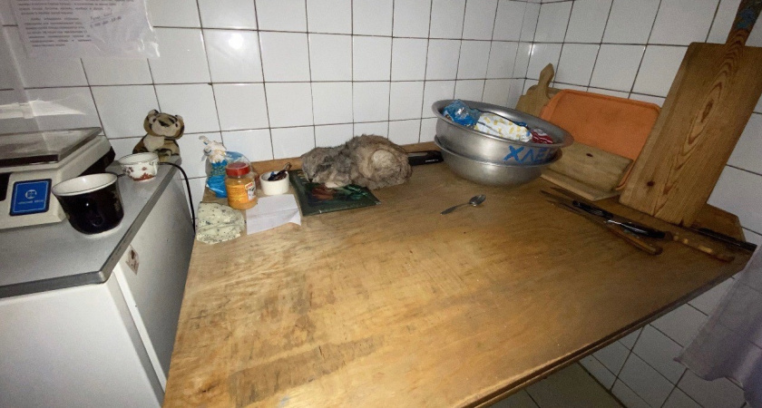 Рязанка пожаловалась на жуткие условия в детском лагере в Кораблинском районе