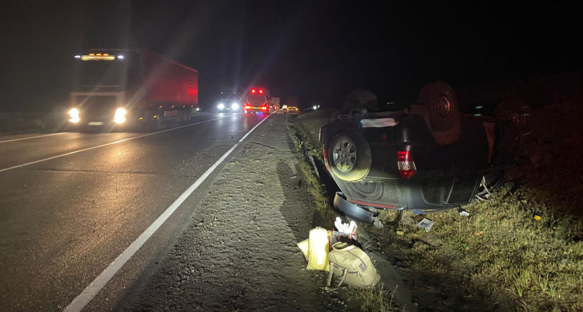 В Скопинском районе в ДТП с фурой пострадали два человека