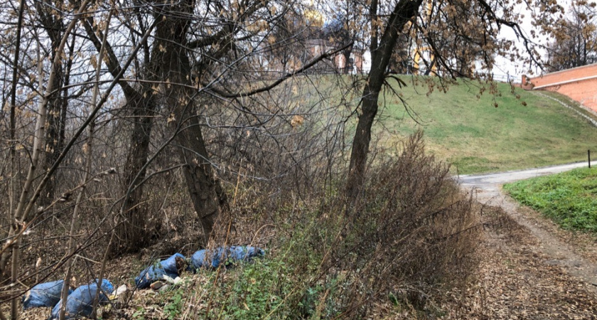 7 октября в Рязани состоится первый общегородской осенний субботник