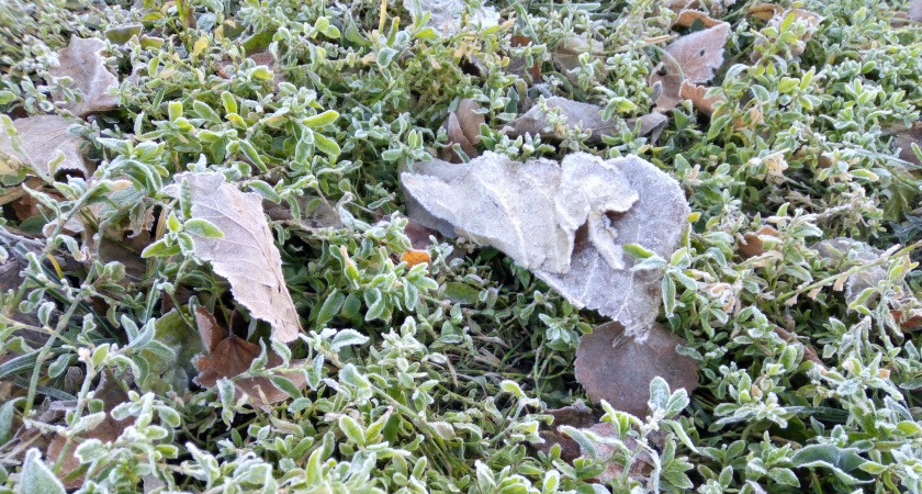 10 октября в Рязанской области ожидается гололедица и -1