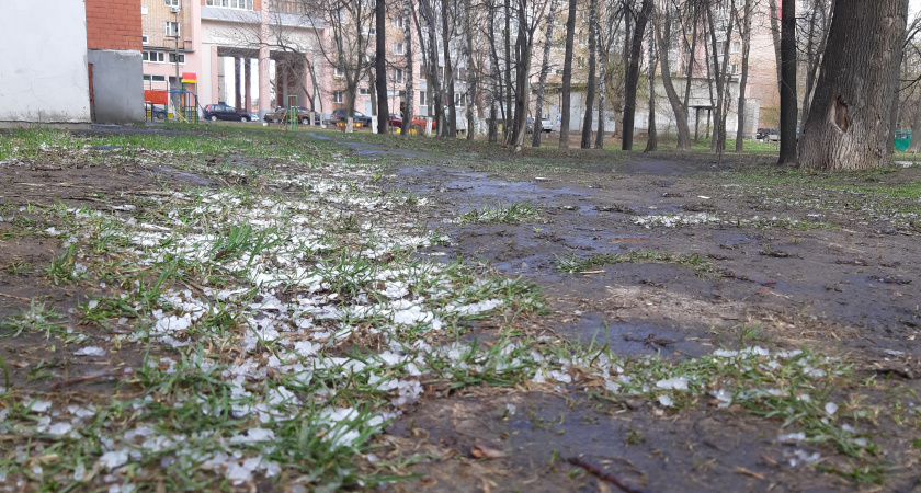 Рязанское МЧС предупредило об усилении ветра днем 12 октября