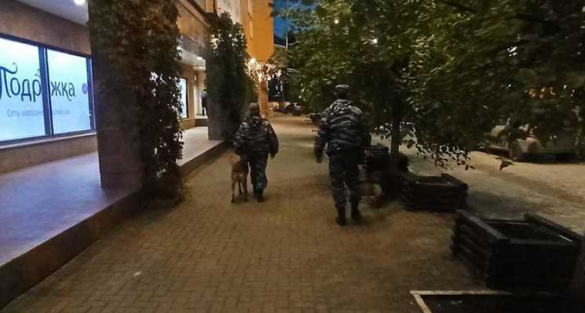 Жители Рязани заметили скопление полицейских с собаками в центре города