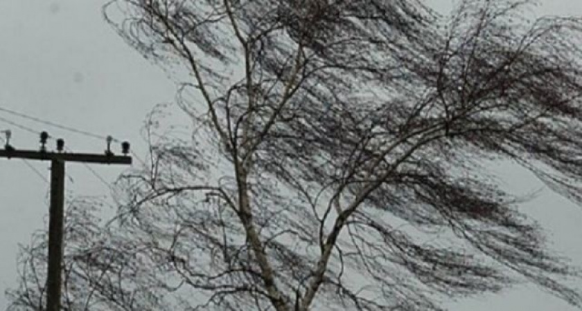 Рязанцев предупредили о сохранении сильного ветра днем 13 ноября