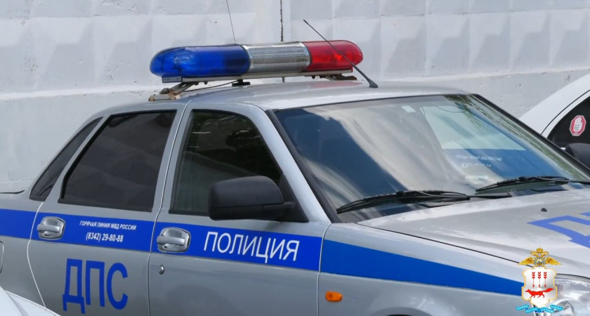 Полицейские Рязанской области доставили в отделы 112 человек на выходных