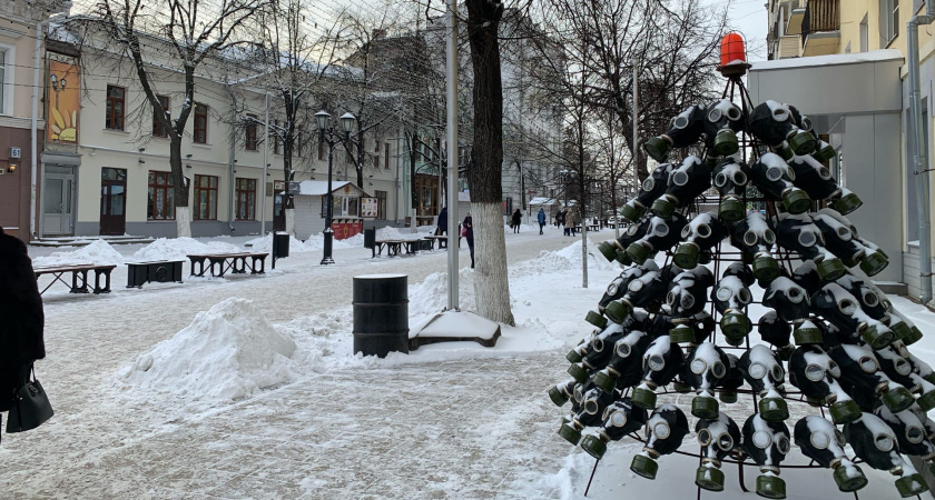 23 декабря в Рязанской области ожидается мокрый снег и +4