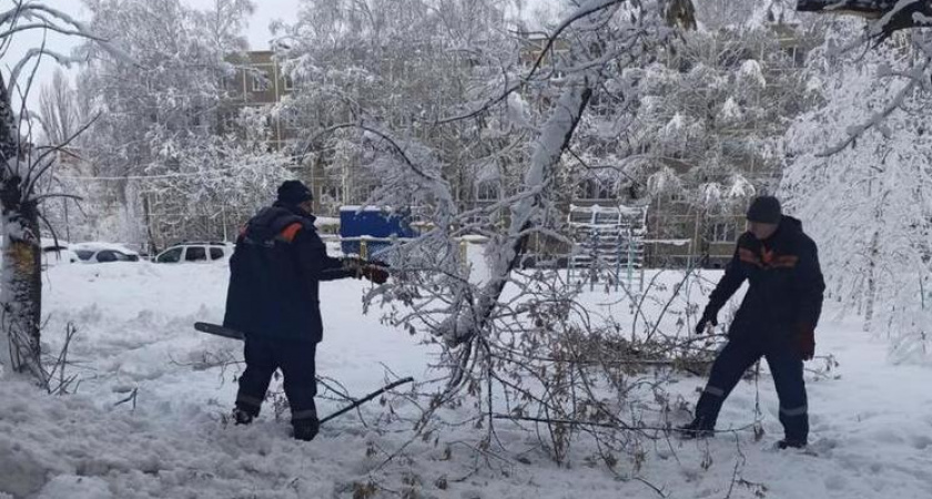 В Рязани зафиксировали 107 случаев падения деревьев после снегопада