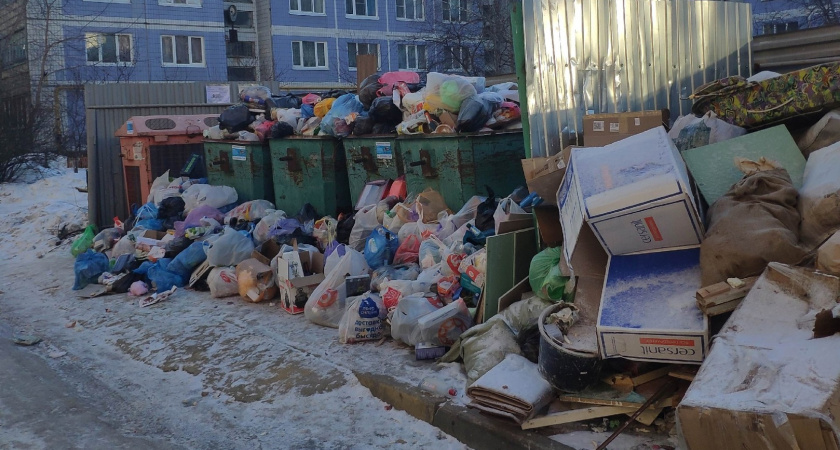 Жители Рязани пожаловались на плохую уборку контейнерных площадок