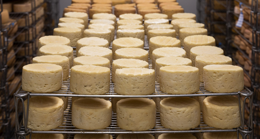 В Рязанской области выявили фантомное производство сыра и масла