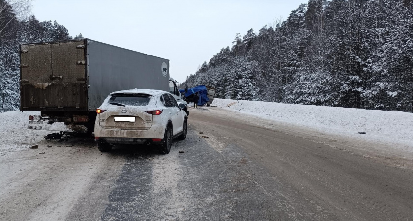 В Рязанской области в ДТП с грузовиком скончался водитель легковушки