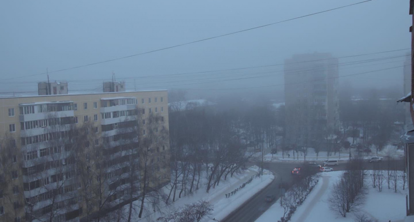 Минприроды Рязанской области прокомментировало ситуацию с загрязнением воздуха