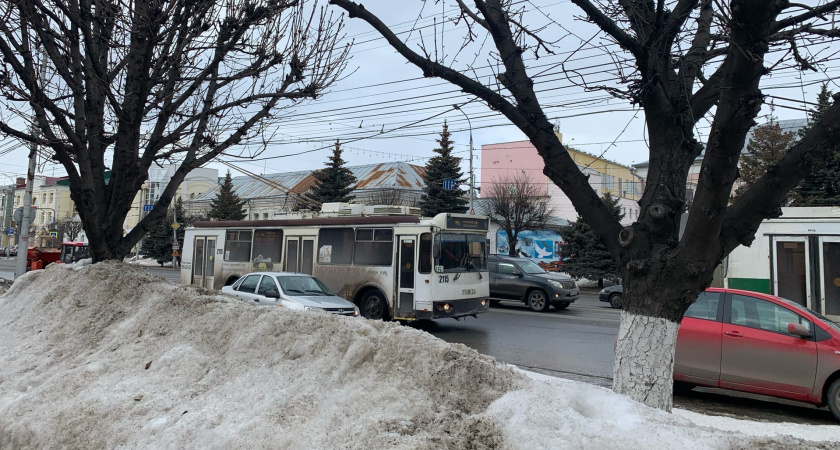Жители Рязани пожаловались на неудовлетворительную работу общественного транспорта