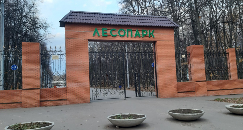 В Рязани намерены создать Дирекцию парков