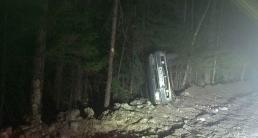 В Касимовском районе вылетел в кювет и перевернулся ВАЗ