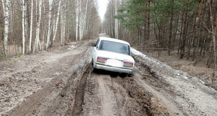 Власти Касимовского района сообщили о планах по асфальтированию грунтовых дорог