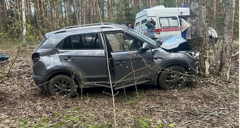 В Рязанской области водитель с сердечным приступом врезался в дерево и погиб