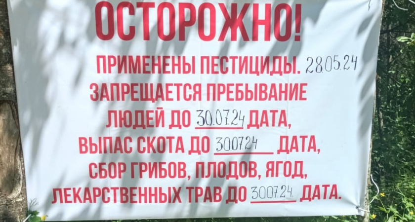 В Спасском районе запрещено посещать леса до 30 июля