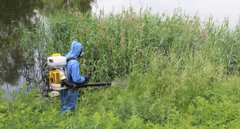 В Рязани обработают 28 водоемов от личинок комаров 4 июня