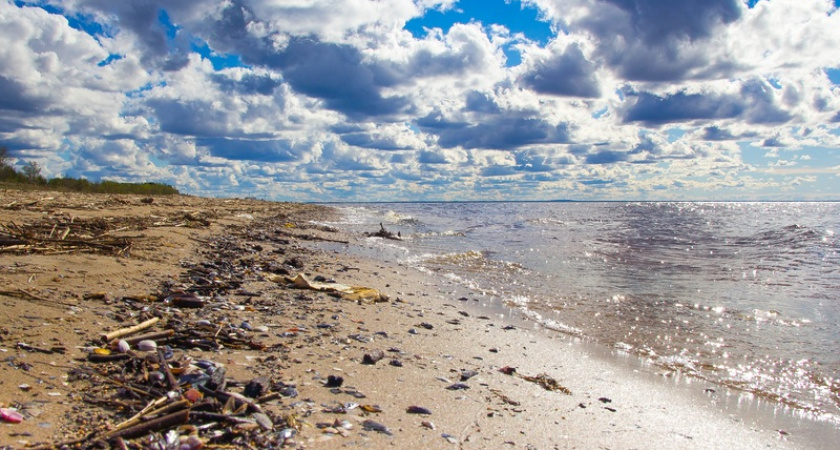 Липкие взгляды, вонючая вода, грязь на пляже: назван топ худших российских курортов
