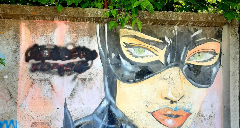 Жители Рязани заметили на бетонном заборе граффити с Женщиной-кошкой и Бэтменом