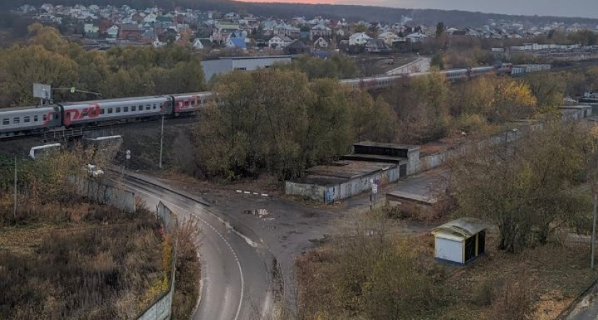 Лучше на боковушке, чем в "комфортном" купе: опытные путешественники берут плацкарт, и вот почему