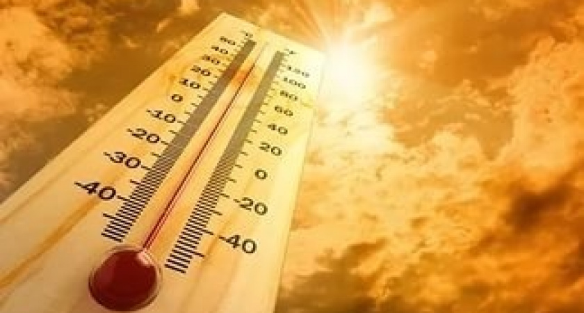 МЧС Рязанской области предупредило о жаре до +36