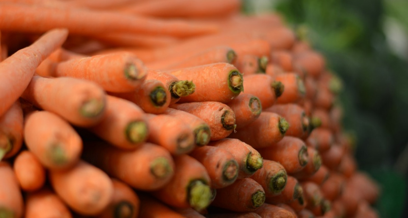Морковь сразу пойдёт в рост: в начале июля полейте грядку этим раствором — первый шаг к шикарному урожаю