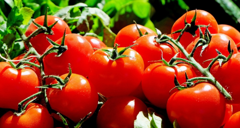 Просто положите помидоры в банки: эта заготовка без закатки стоит до следующей зимы — хранить можно даже на кухне