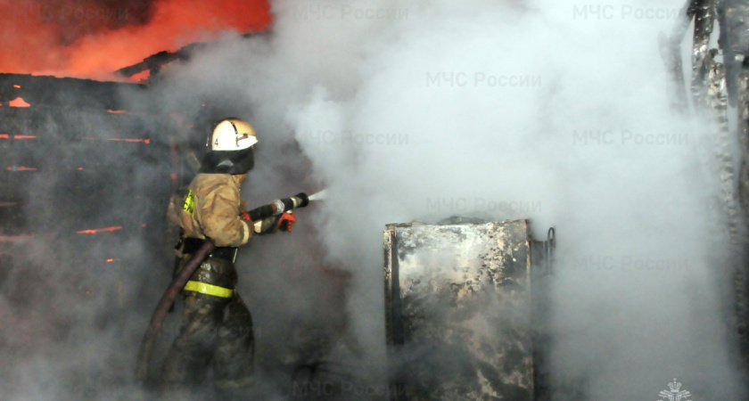 В Рязанской области погибли на пожарах 36 человек в 2024 году
