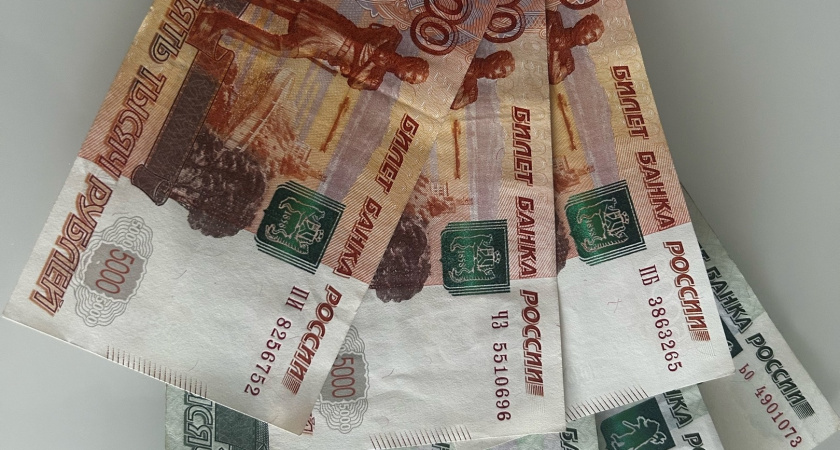 С начала 2023 года в Рязанской области 1896 семей получили региональный материнский капитал