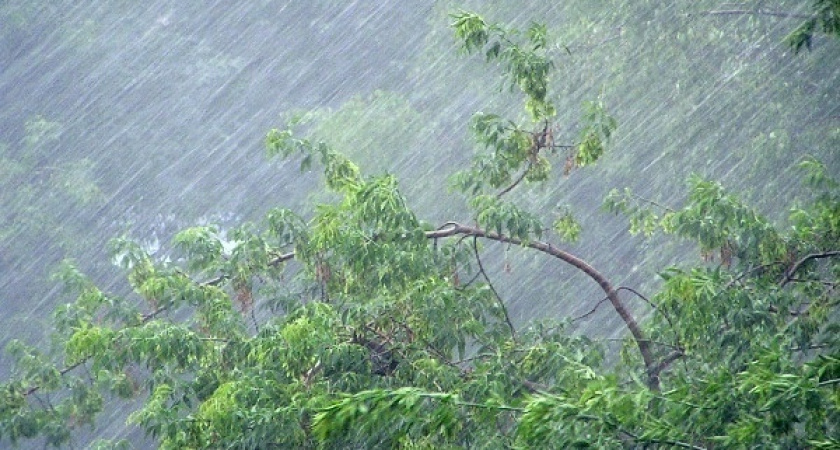 МЧС Рязанской области предупредило о дожде, грозе и сильном ветре 19 июля