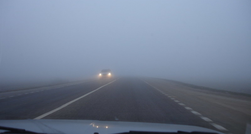 МЧС Рязанской области предупредило о тумане 
