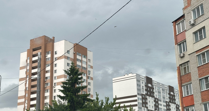 25 июля в Рязанской области ожидается дождь и до +27