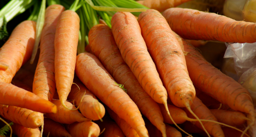 Морковь сразу пойдёт в рост: в июле полейте грядку таким раствором — первый шаг к богатому урожаю