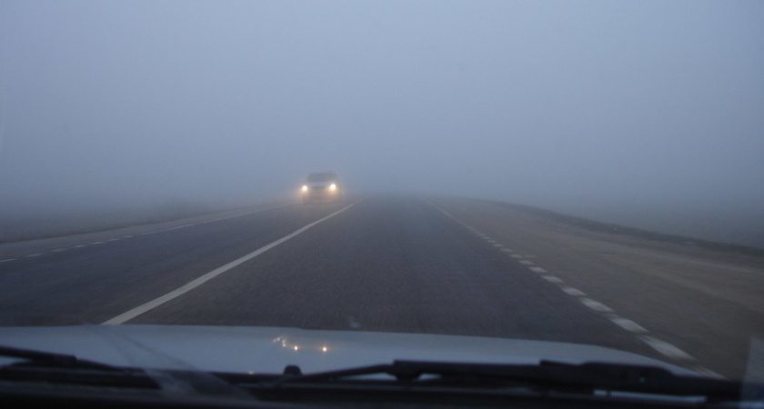 Жителей Рязанской области предупредили о густом тумане утром 31 июля