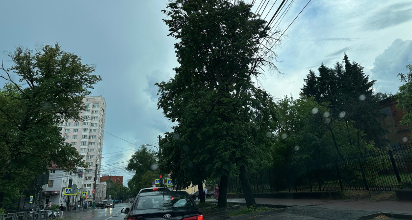 1 августа в Рязанской области ожидается гроза и до +25