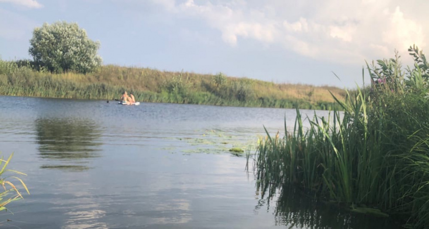 В водоемах Рязанской области не обнаружили личинок малярийных комаров