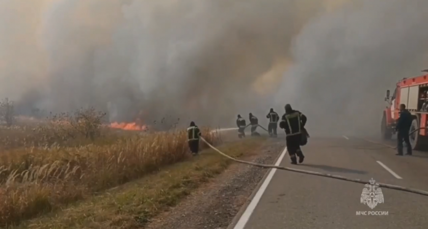 В Рязанской области пожары подходят к селам Воскресеновка и Ижевское