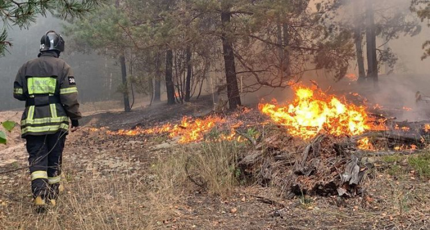 В Рязанской области увеличилась площадь пожара до 105 га за сутки