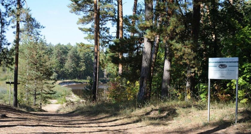 В Рязанской области приведут в порядок участок дороги к Окскому заповеднику